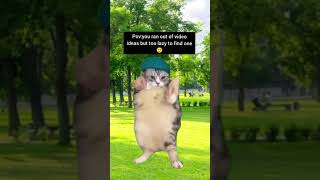 Cat dancing to girlfriend #shorts #memes #trending #cat #funny