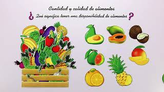 soberania alimentaria spot 4