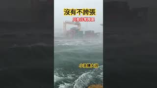 這個凱米颱風風浪真不是吃素的 #浪 #風 #sea #ocean #海浪 #波波鼠 #boboby #shorts