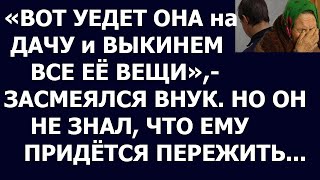 Истории из жизни Вот уедет она на дачу и выкинем все ее вещи,  засмеялся внук  Но он не знал, что