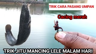 tehnik dan trik terjitu mancing lele‼️di malam hari