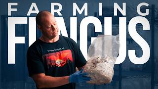 Fungi Farmers Growing Powerful Mushrooms | PARAGRAPHIC