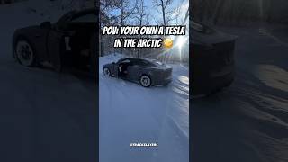 Tesla Model S Plaid vs SUB ZERO TEMPS 😳🥶