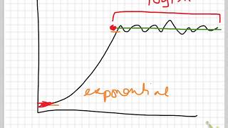 bio 3-4 carrying capacity wrapup