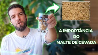 MALTE DE CEVADA - O CORAÇÃO DA CERVEJA.