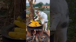 Cute cat roasting corn #catvideos #cute #funny