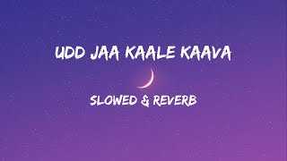 Udd Jaa Kaale Kaava (Slowed & Reverb) Udit N, Alka