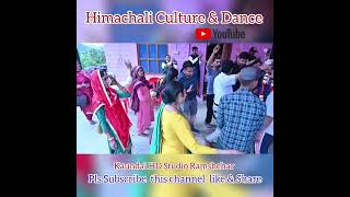 Wedding dance !! Himachali culture !! Band Baja ! Solan😍! #wedding #dancevideo #localculture #solan