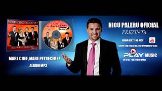 Nicu Paleru   Seara asta fratii beau  Oficial Audio  2018