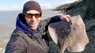 Bristol Channel Fishing- Guided Session Insight, Rays, Codling And Conger