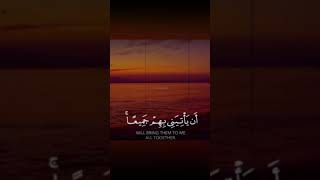 Quran Recitation | Islamic Whatsapp Status | #Shorts #Youtube_Shorts