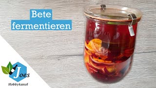 Rote Bete fermentieren | Bete haltbach machen