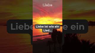 Lausche dem Lied... #shortsyoutube #gedanken #nachdenken