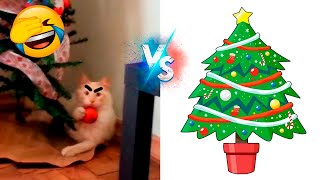 Graciosos Videos De Gatos Versus Arboles De Navidad 😹🎄