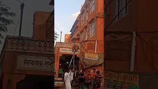 Monkey at Pink City #monkey #monkeyvideo #animal #pinkcity #jaipur #traffic