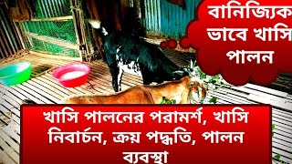 খাসি পালনের পরামর্শ,খাসি নিবার্চন, ক্রয় পদ্ধতি,লালন পালন ব্যবস্থা! @digitalbangladesh9170 #খাসি