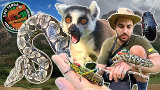 FINDING MADAGASCAR BOAS AND HISSING COCKROACHES IN LEMUR FOREST | MADAGASCAR EXPEDITION EPISODE 6