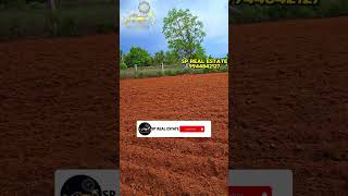 1 ACRE FOR SALE | 1 ஏக்கர் நிலம் விற்பனைக்கு#palani #lowbudget #realestate #landforsale #best #land