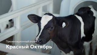 Красный Октябрь — презентационный ролик