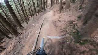 Bike Park Leogang Antonius Trail 2022