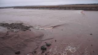 Tidal bore @ Hall's Creek, Moncton, NB, Canada. May 8, 2021.