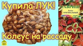 15.  И ВОТ Я ВСЁ ТАКИ ПОСЕЯЛА!