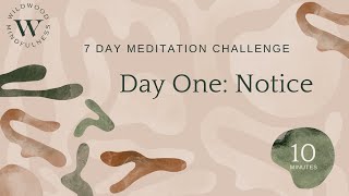 Day One: Notice |7 Day Meditation Challenge|