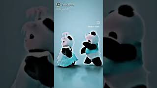 cute bears #viralvideo