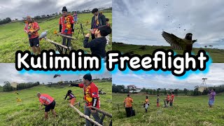 Kulimlim Freeflight | Parrot Freeflight | Parrot Lover | New Zealand