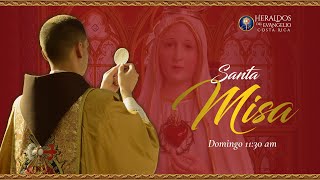 Santa Misa Domingo 10 de noviembre 2024