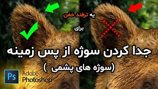 آموزش فتوشاپ 2021 جدا کردن سوژه از پس زمینه - سوژه های پشمی