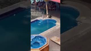 Sea Lion enters in hotel, swims in the pool and steals the mans chair