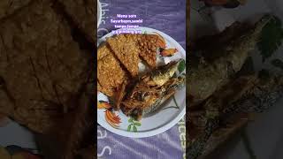 #fypyoutube#fypシ゚viral#fypシ゚#fyp#masak#makanan#sayurbeningbayam#sambeltempe#tempegoreng#pindang