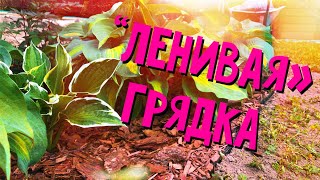 Умная грядка без прополки. Мульчирование корой сосны и лиственницы.