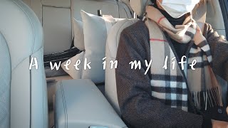 A Week In My Life : 일주일 일상 브이로그