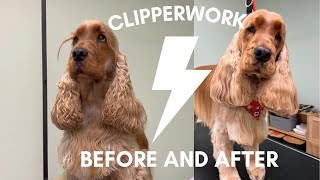 CLIPPERWORK | THE BASICS | DOG GROOMING