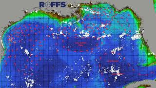 Gulf of Mexico Ocean Conditions Update - 08/01/2023