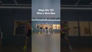 Mega Mix 102 What a Bom Bam 메가믹스102 Soca #zumba