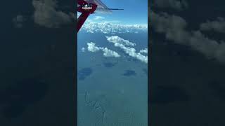 Surpresas da Floresta Amazônica #jungle #amazon #amazonia #aircraft #viral #viralvideo #shorts