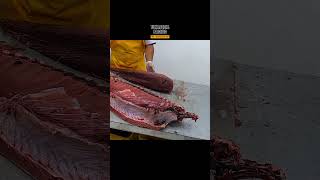 GIANT FISH big size tuna fish cutting from Aceh Indonesia