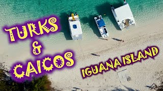 Iguana Island or Little Water Cay?