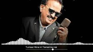 | Tumse Milne ki Tamnah Hai | S. P. Balasubramaniam |