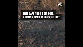 These Are the 4 Best Deer Hunting Times during the Day