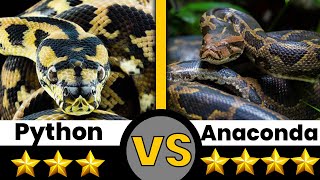 Python vs Anaconda #shorts