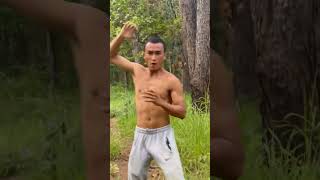 Tiger training in the forest #motivation #kickboxing #kickbox #martialart