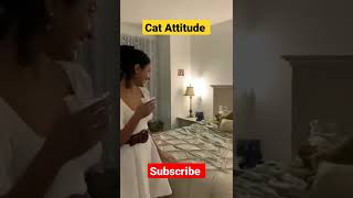 Cat Attitude 😂 #shorts #reels #animals #cute #attitude #awwanimals #youtubeshorts #funnyplox #cat