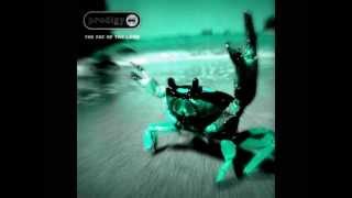 The Prodigy - Diesel Power (All demonic)