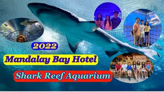 Shark Reef Aquarium l Mandalay Bay Resort & Casino l Las Vegas Trip 2022