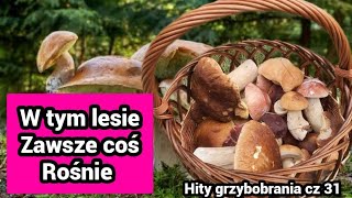 Na grzyby - idź Pan do tego lasu.