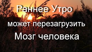 Релаксация на мозг человека. Природные стимулы мозга в раннее утро. Это путь к успеху и здоровью